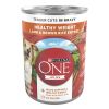 Purina One +Plus Lamb and Brown Rice Wet Dog Food, 13 oz Cans (12 Pack) - Purina ONE