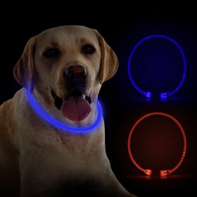 Pet luminous collar - Blue - Transparent Blue Light