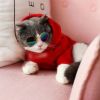 Pet Sunglasses Dog Cat Vintage Round Reflection Glasses for Photos Props Fashion Accessories - Pink