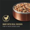 Purina Pro Plan Complete Essentials for Adult Dogs Chicken Carrot, 5.5 oz Cans (24 Pack) - Purina Pro Plan