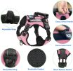 Pet Harness And Leash Set For Dog & Cat; Adjustable No Pull Service Dog Vest Harness For Walking - Lake Blue - L