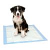 Dr. Pol Ultra-Absorbent Fresh Scent Training Pads - 100 Count - 22x22 - Dr. Pol