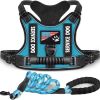 Pet Harness And Leash Set For Dog & Cat; Adjustable No Pull Service Dog Vest Harness For Walking - Lake Blue - L