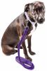 Pet Life 'Aero Mesh' Dual Sided Comfortable And Breathable Adjustable Mesh Dog Leash - Purple