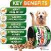 Glucosamine for Dogs 2 Pack Hip and Joint Supplement with Chondroitin 240 Chews - Vet Promise