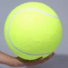 9.5 inch big tennis pet bite toy big inflatable tennis supplies outdoor cricket - Green